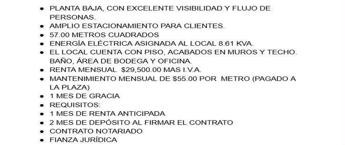 Foto de local en renta en  , las cruces [carretera nacional kilómetro 236], allende, nuevo león, 0 No. 05